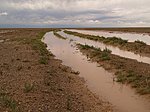 rain in Gobi desert, the way out