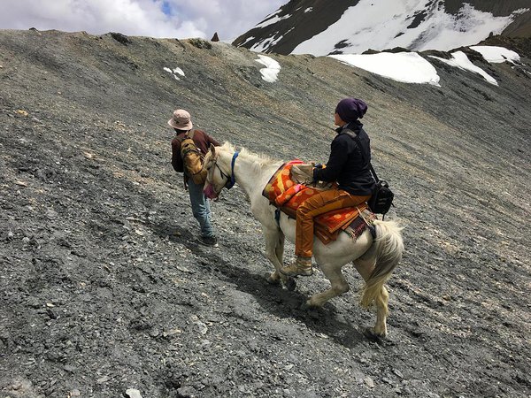 exploiting a horse (picture by Kalle)