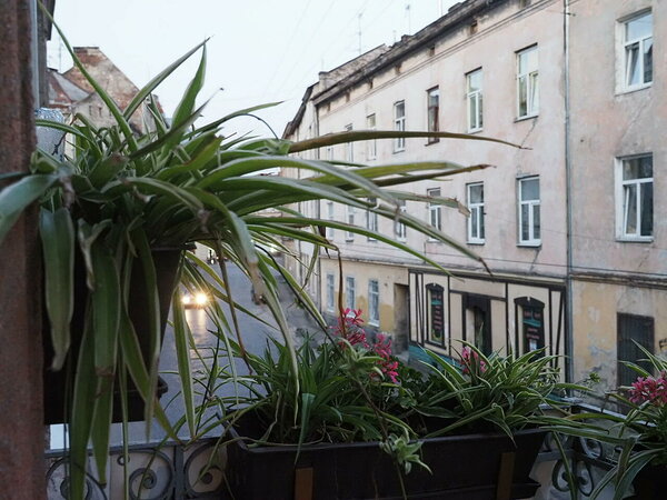 Lviv, vaade hostelitoa rõdult