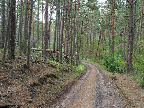 Gotska Sandön