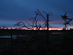 sunset in Määvli swamp