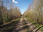 path on the old railway dam