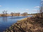 Vigala jõgi