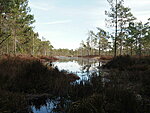 pond at Ränkaja camp site