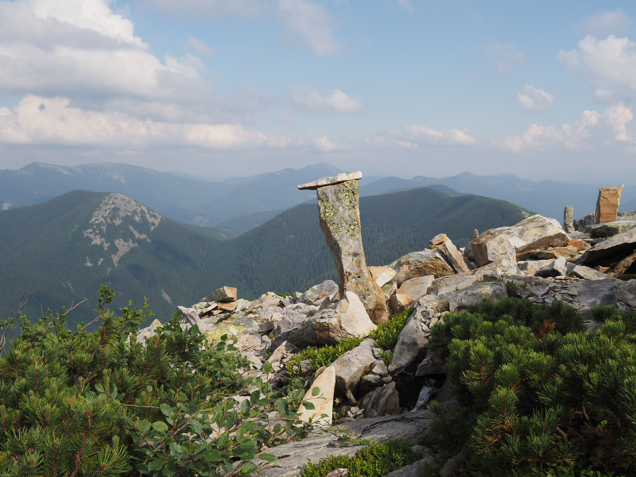 Solotvõnka karjamaaPlistse karjamaa — panipaik