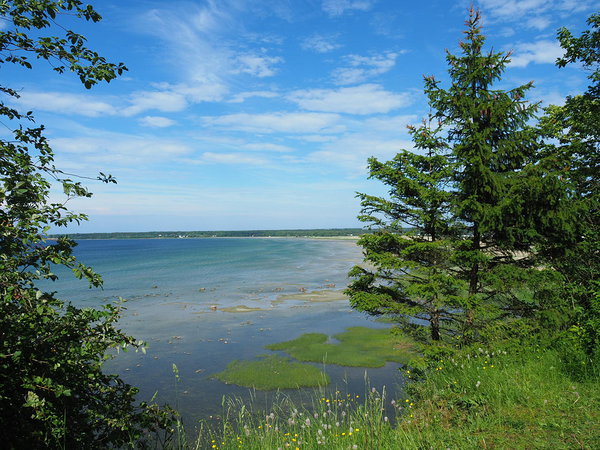 view from Tabasalu nature trail