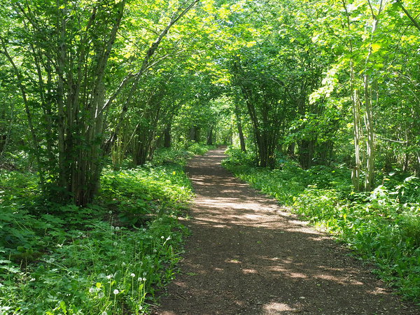 Tabasalu nature trail