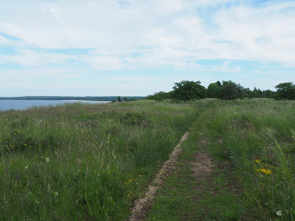 path on Türisalu cliff