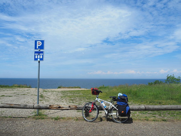 on Türisalu cliff