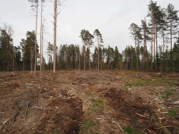 siin on rada, kuskil