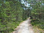 path from Lohusalu to Meremõisa