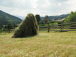 different style of haymaking