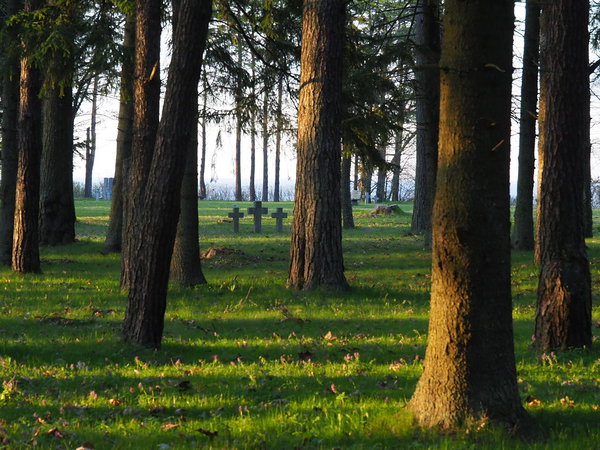 Saksa sõdurite surnuaed