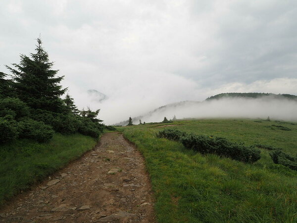 Hoverla veel piilub vasakul