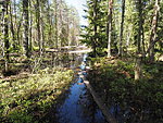 beginning of Seljamäe hiking trail