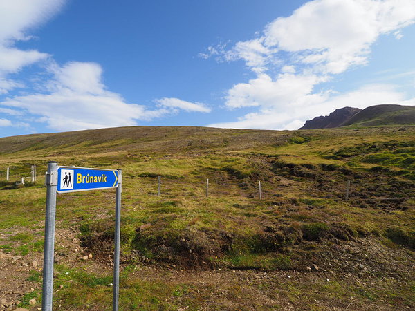 start of the official trail