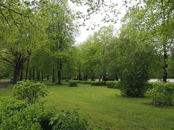 Kohtla-Nõmmel