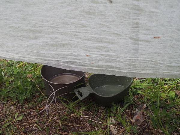 collecting rain water