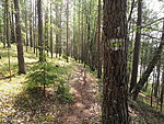 path next to Ahnejärv lake