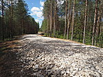 road meant for heavy forest machinery