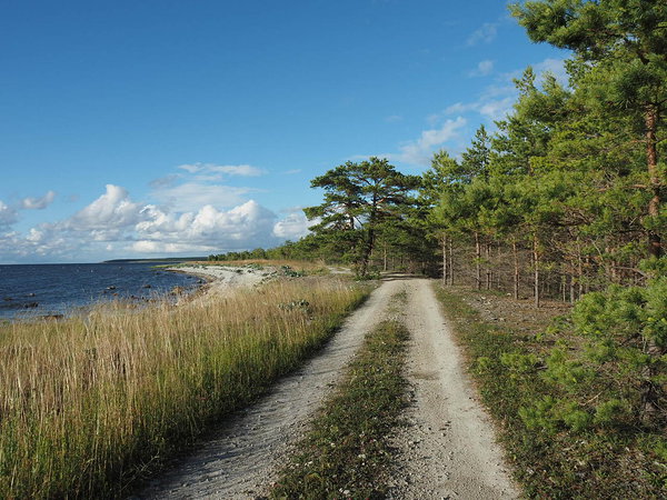 Kugalepa lahe ääres