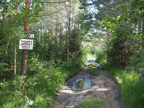 road towards Harilaid