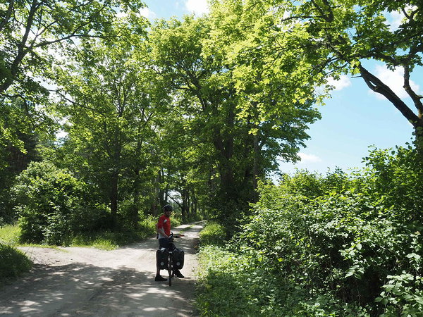 Kuusnõmme mõisa allee