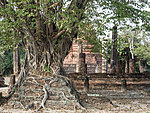 Wat Mangkorn