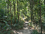 trail to Wat Pha Lat
