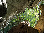 view from the cave