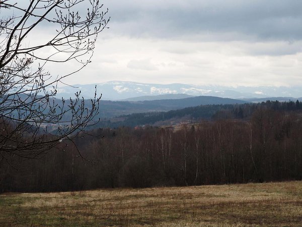 skiing mountains visible