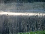 aurav paisjärv