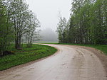 fog on the road towards Arumäe