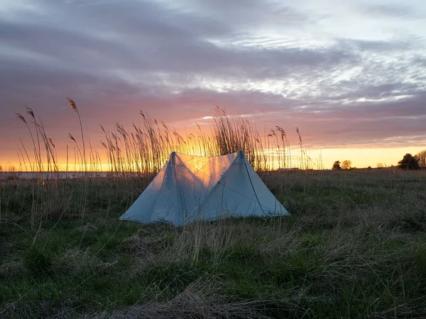 telk lõpuks püsti