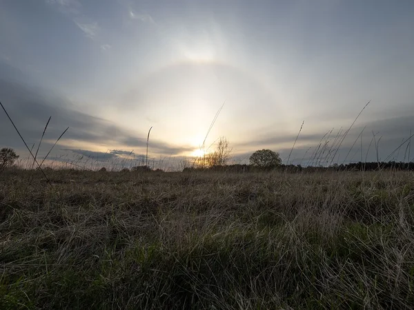 ring ümber päikese hommikul