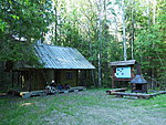 Sandra forest hut