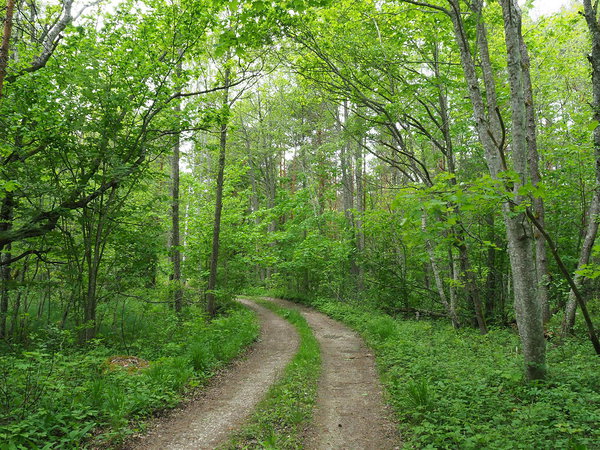 Koorunõmme protected area
