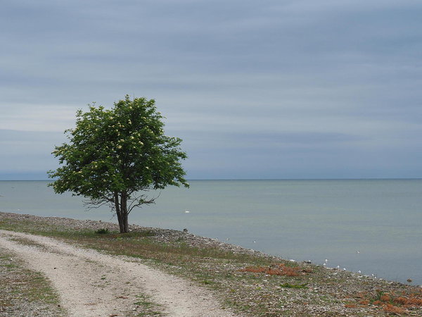 on the way to Undva cliff