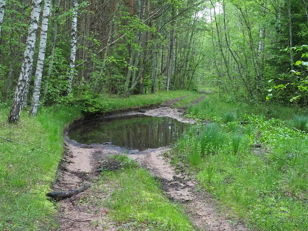 mud way to Harilaid