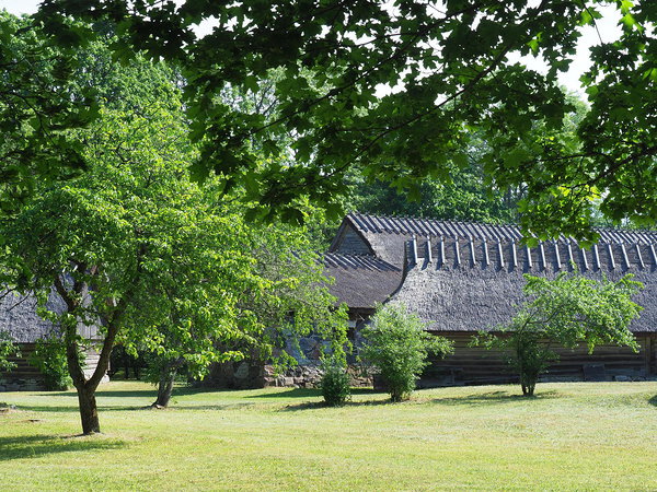 Koguva village