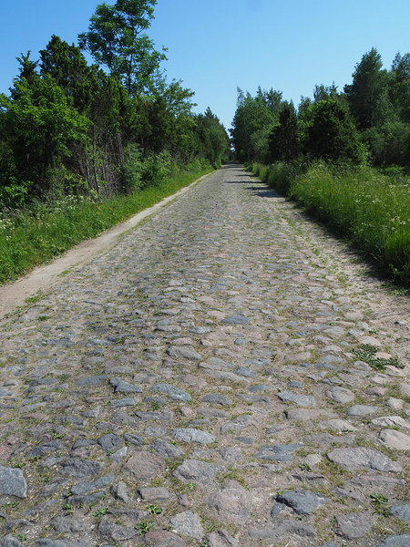 Võiküla road