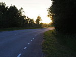 road on Hiiumaa