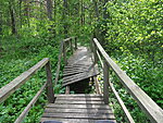wooden pathway