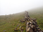 a fence in fog