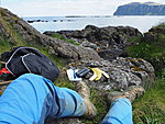 picnic with banana and seals