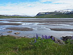 Leirufjörður before the sea rushes back in