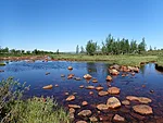 Varbaleotusjõgi