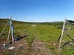 Läbi põdraaia