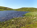 Tuuldumisjärv