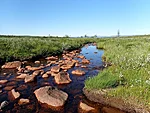 Sokipesujõgi